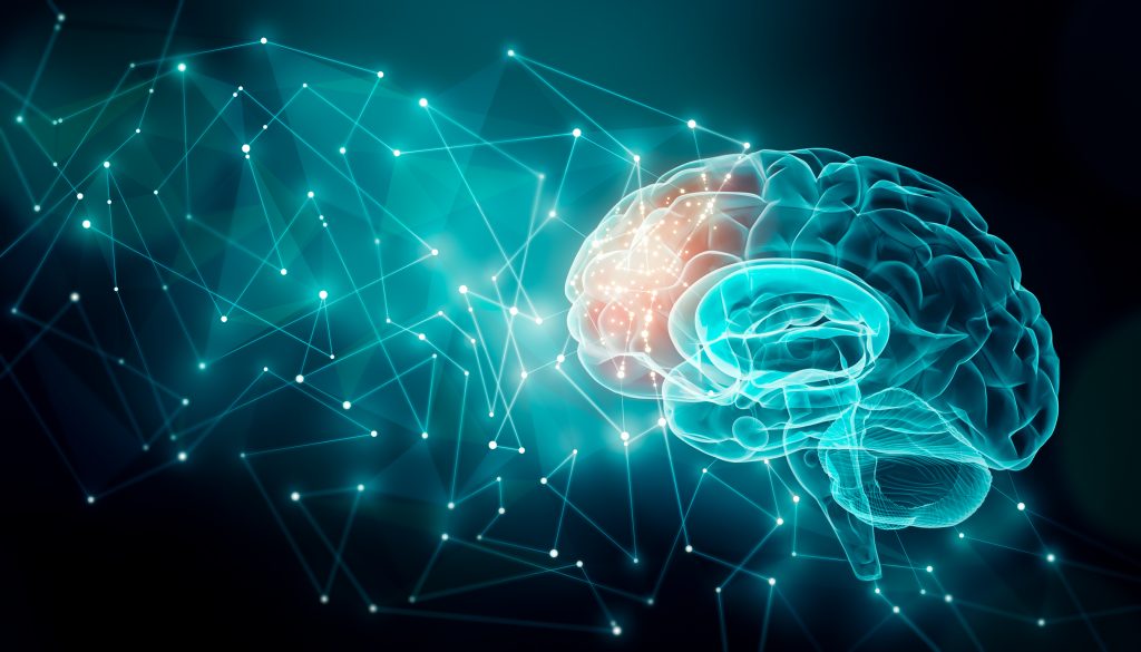 cognition